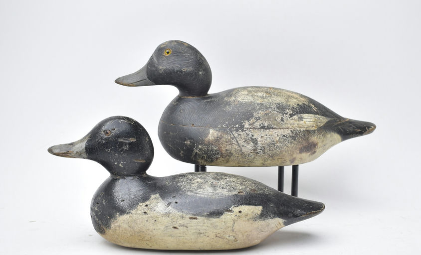 Mason Decoy Factory – Bluebill – 2025