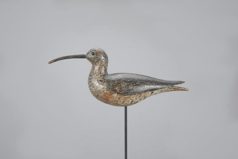 Elmer Crowell – Hudsonian Curlew – 2023