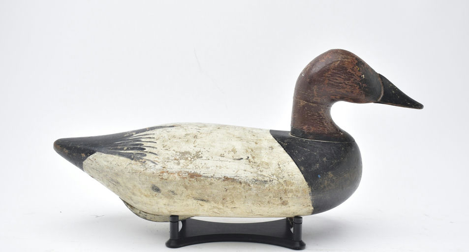 Bob McGaw – Canvasback – 2025