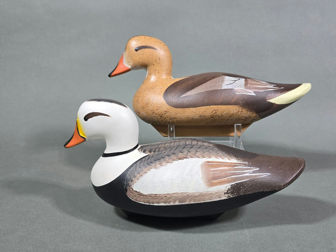 Jim Pierce – Labrador Duck – 2026