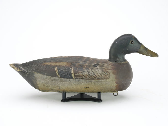 Bert Graves – Mallard – 2024