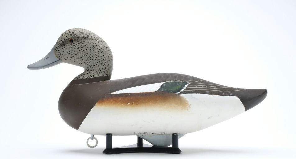 Charlie Joiner – Widgeon Hen – 2025