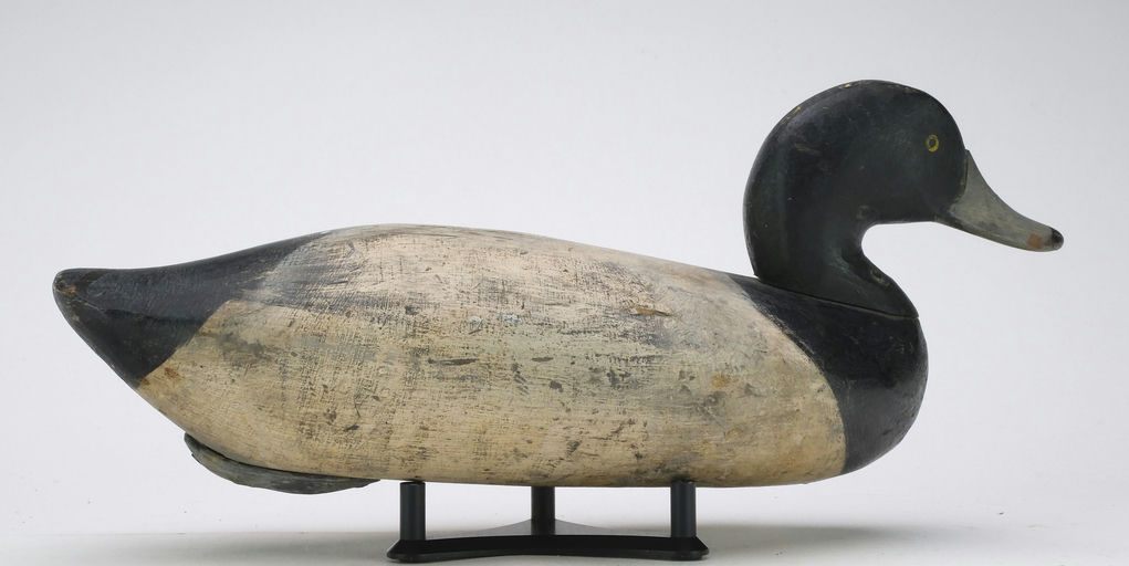 James Currier – Scaup – 2024