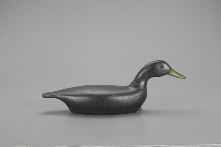 W. H. Parker – Swimming Black Duck – 2021