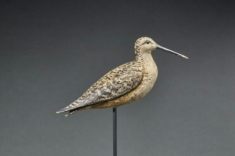 Charles Sumner Bunn – Dowitcher – 2017