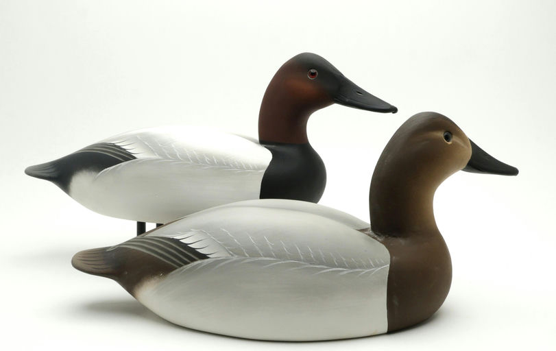 Charlie Joiner – Pair of Canvasbacks – 2025