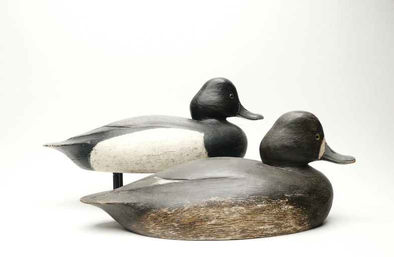 Ken Anger – Scaup – 2026