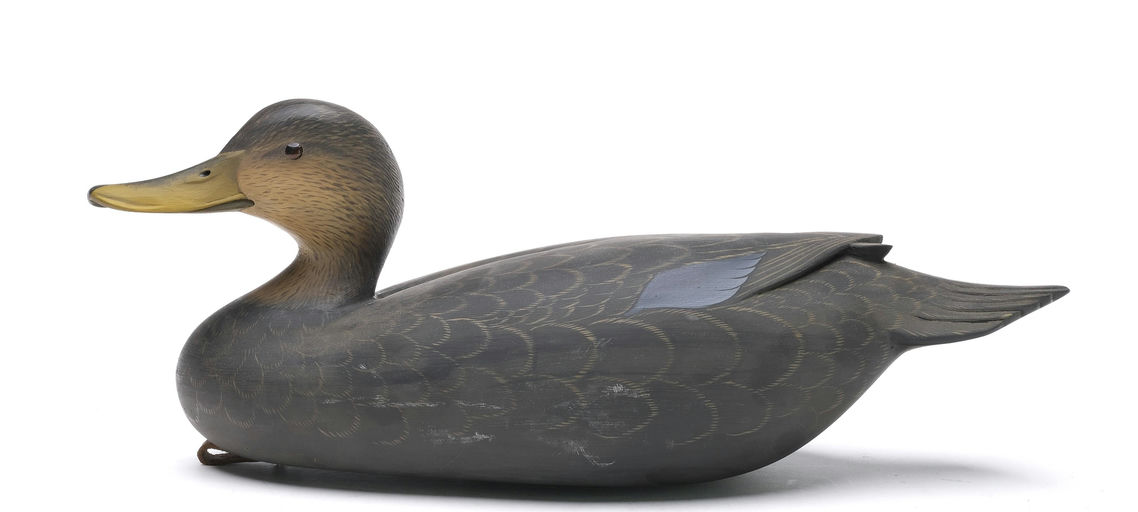 George Strunk – Black Duck – 2026