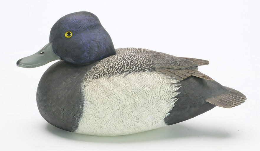 Ben A. Heinemann – Scaup – 2024