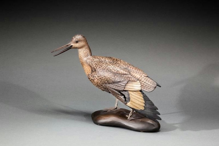 Bill Gibian – Decorative Willet – 2015