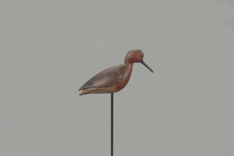 Mark McNair – Cobb-Style Red Knot – 2021