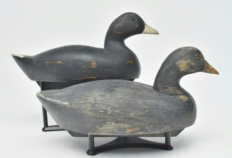 Wildfowler Decoy Company – Pair of Coot – 2023
