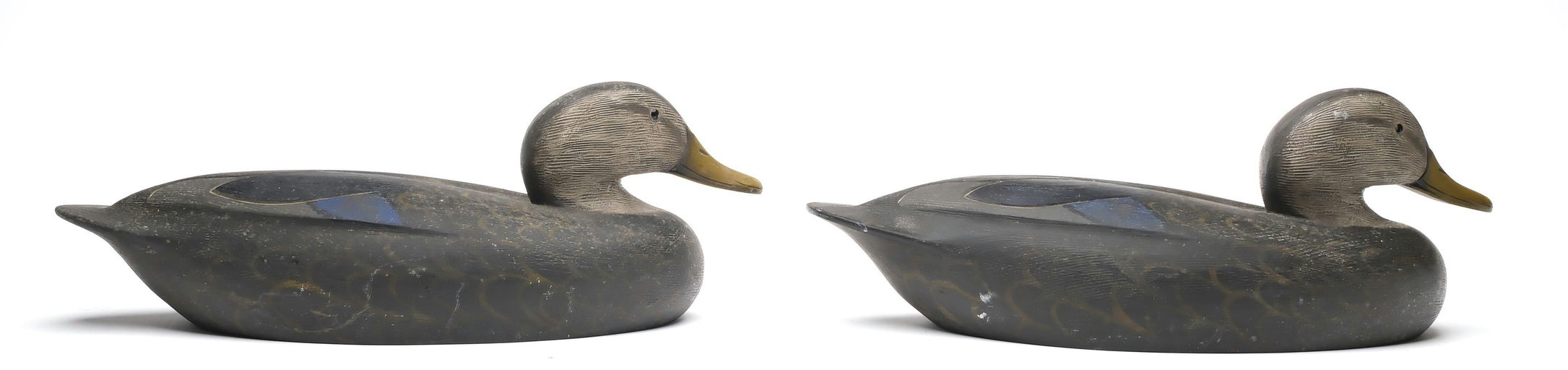Ken Anger – Black Duck – 2025