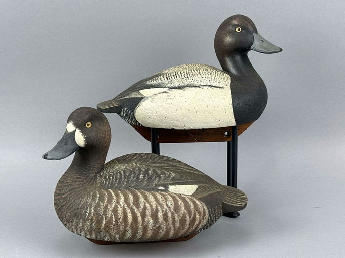 Bob Swann – Bluebill Duck – 2026