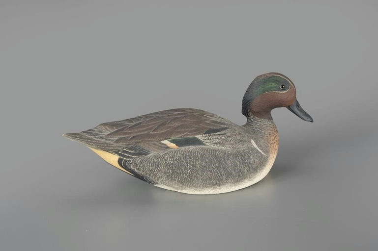 Roger Barton – Green-winged Teal Drake – 2024
