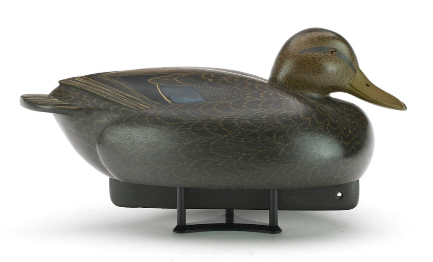 John McLoughlin – Black Duck – 2024