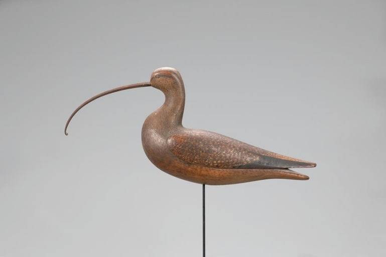 Mark McNair – Long-Billed Curlew – 2021