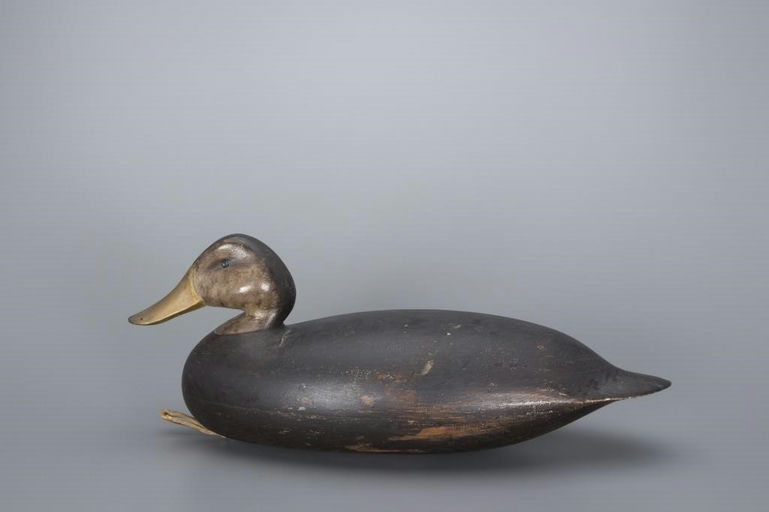 Chris Sprague – Black Duck – 2017