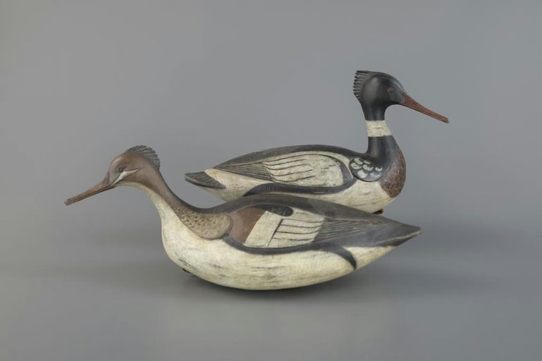Reggie Birch – Outstanding Merganser Pair – 2025