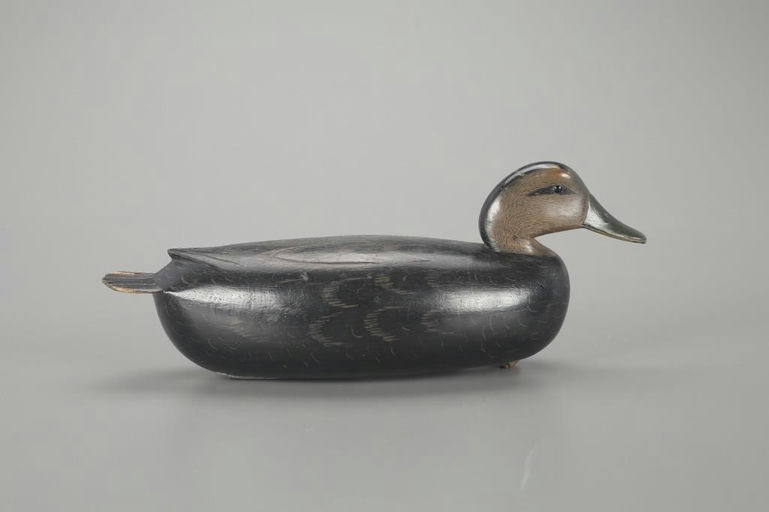 Dan English – Black Duck – 2023