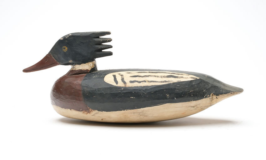 Doug Jester – Red-breasted Merganser – 2026