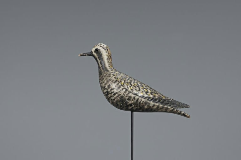 Elmer Crowell – Early Golden Plover – 2019