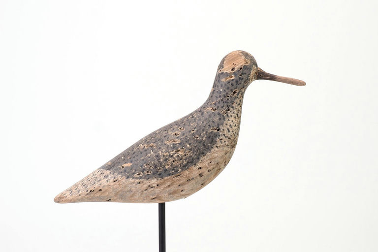 Verity Family — Black Bellied Plover