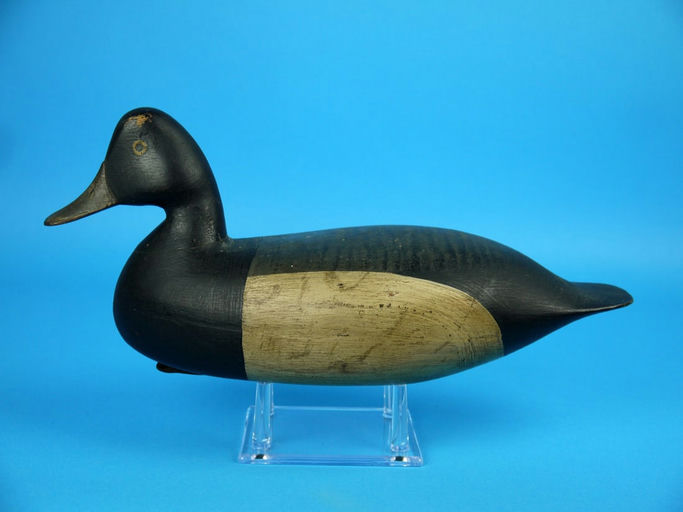 Harry Mitchell Shourds – Bluebill Drake – 2026