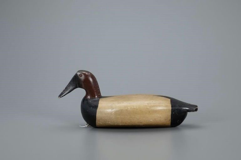 William Lohrman – Hollow Canvasback – 2020