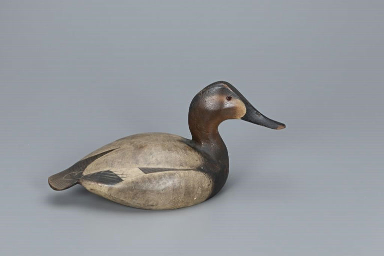 Ward Brothers – Classic 1936 Canvasback Hen – 2019