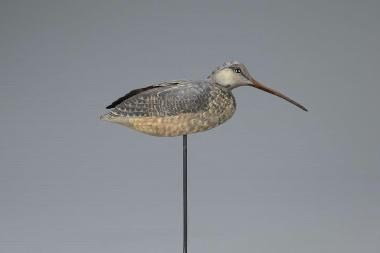 John Vulcani – Life-size Woodcock – 2020
