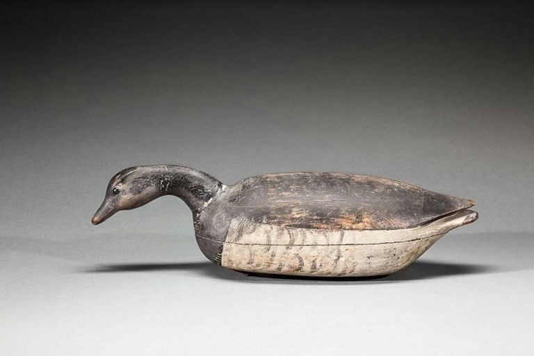 Nathan Cobb, Jr. – Feeding Brant – 2015