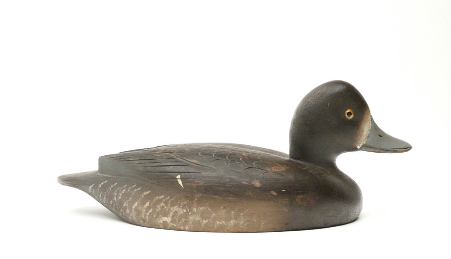 David W. Nichol – Scaup – 2026