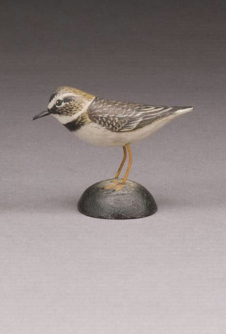 Elmer Crowell – Miniature Wilson Plover – 2010