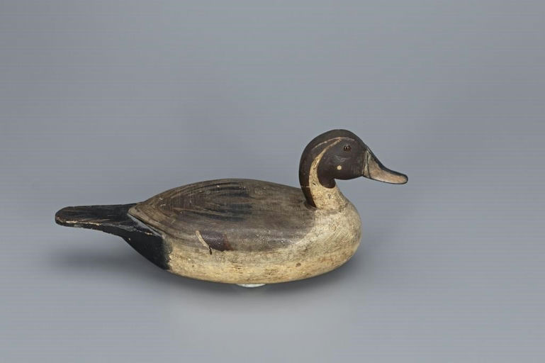 Charles Walker – Early Pintail Drake – 2019