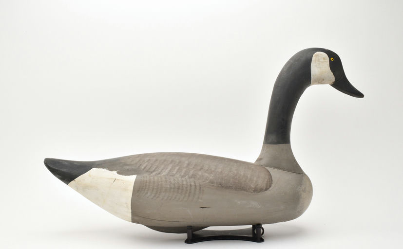 R. Madison Mitchell – Canada Goose – 2025