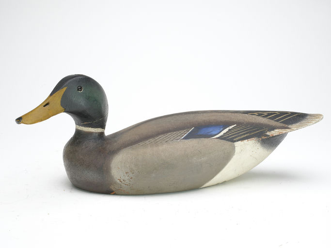 Ward Brothers – Mallard – 2023