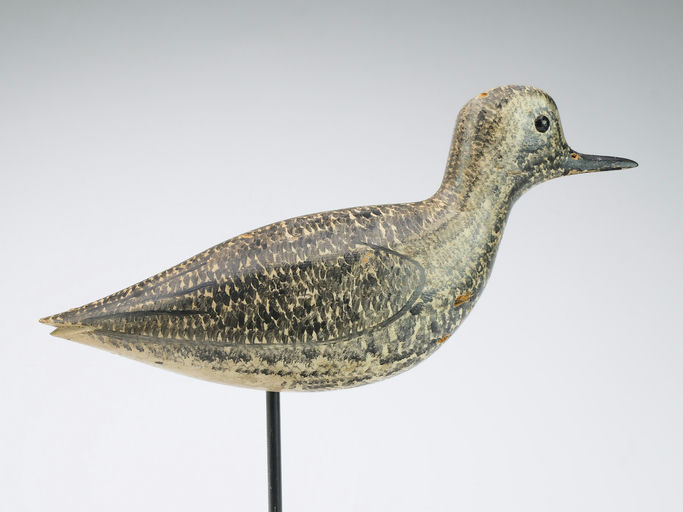 George Boyd – Black Bellied Plover – 2024