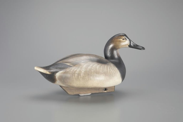Jim Schmiedlin – Canvasback Hen – 2024