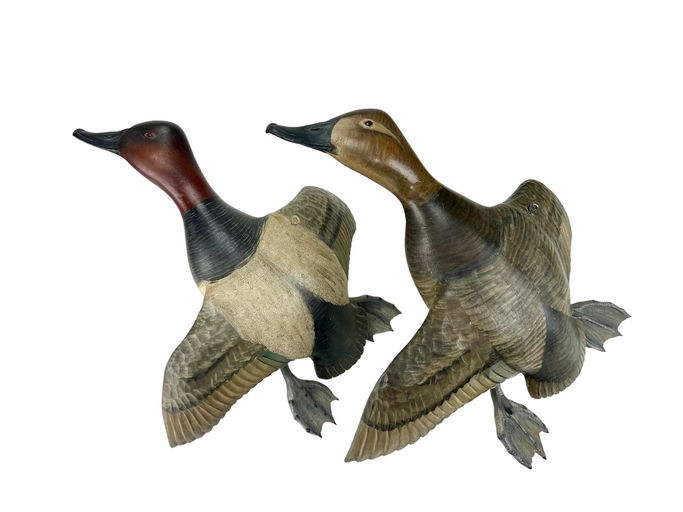 Mike Borrett – Flying Canvasback Pair – 2024
