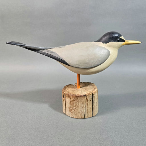 Steve Morey – Decoy – 2026