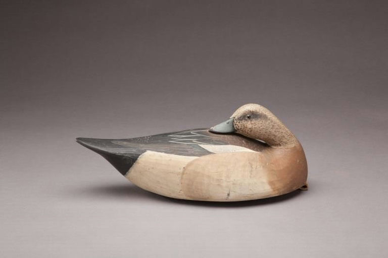 Mark McNair – Preening Widgeon Drake – 2011