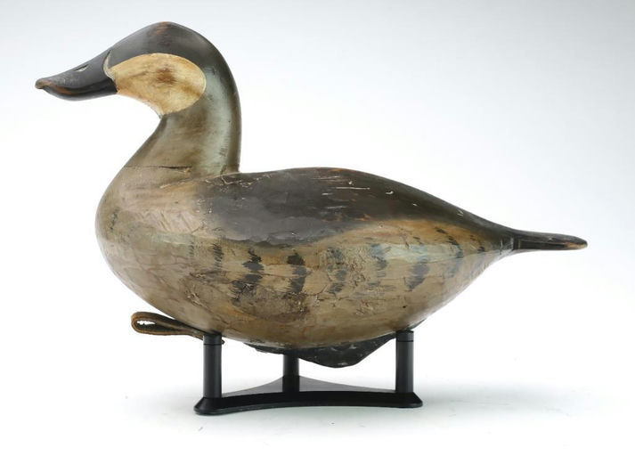 Pete Peterson – Ruddy Duck – 2024