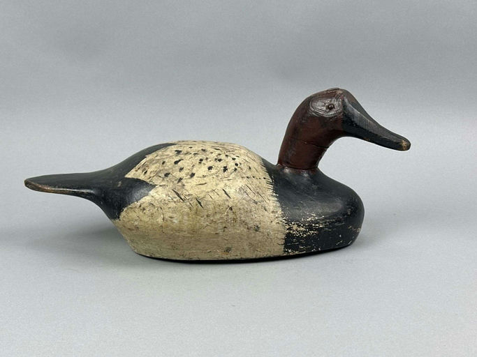 Augustus Moak – Canvasback Drake – 2026