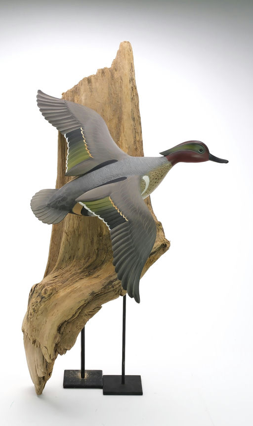 George Strunk – Green Wing Teal – 2024