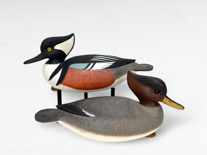 Rick Brown – Hooded Merganser Pair – 2024