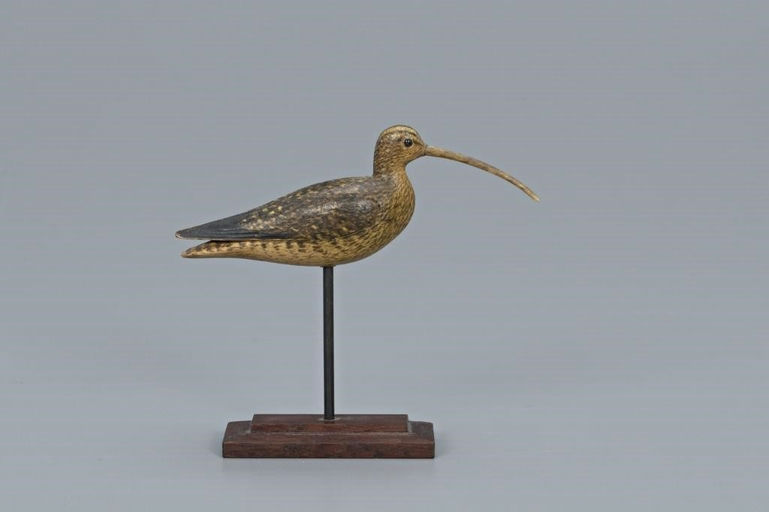 Mark McNair – Miniature Long-Billed Curlew – 2019