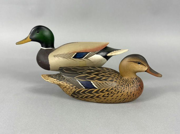 Oliver Lawson – Mallard – 2026