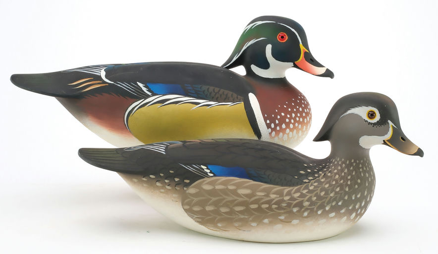 Oliver Lawson – Pair of Wood Duck – 2024