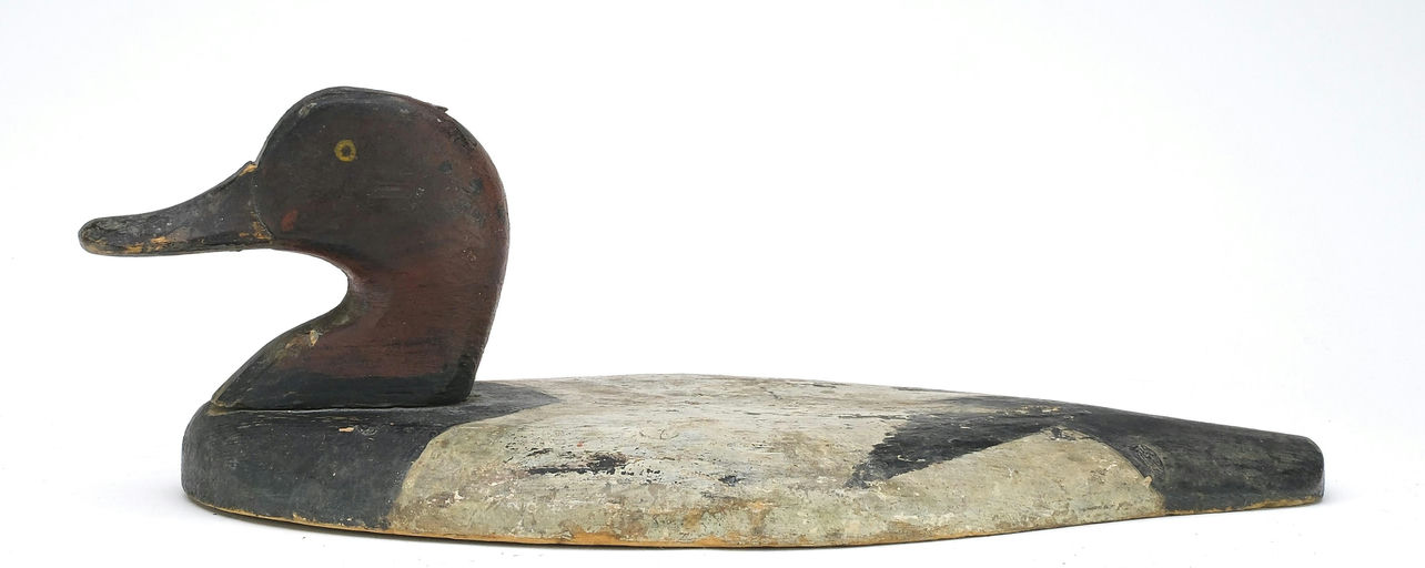 John Daddy Holly – Canvasback Wing Duck – 2024